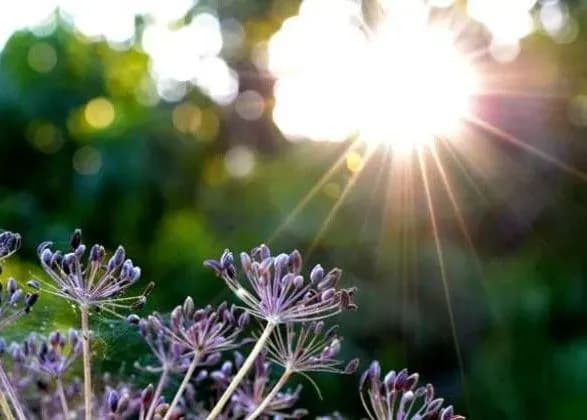 zavtra-u-stolitsi-bez-opadiv