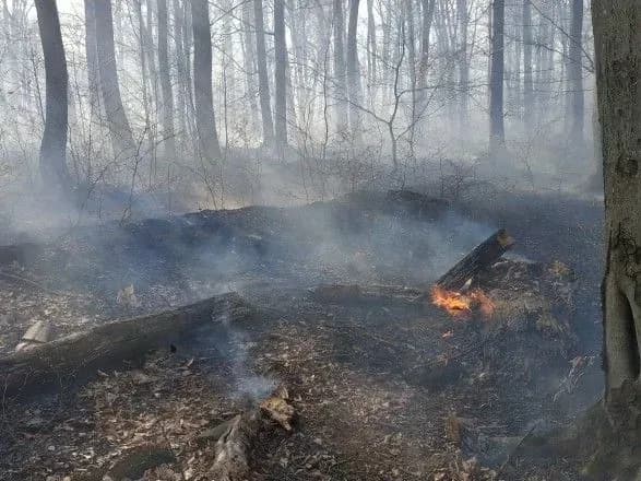 na-zakarpatti-vsyu-nich-gasili-pozhezhu-na-ploschi-35-ga