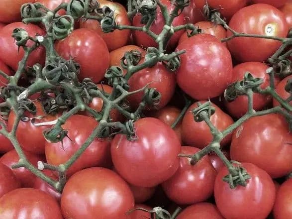 v-izrayili-zatrimali-divchinu-za-kinutiy-u-netanyakhu-pomidor