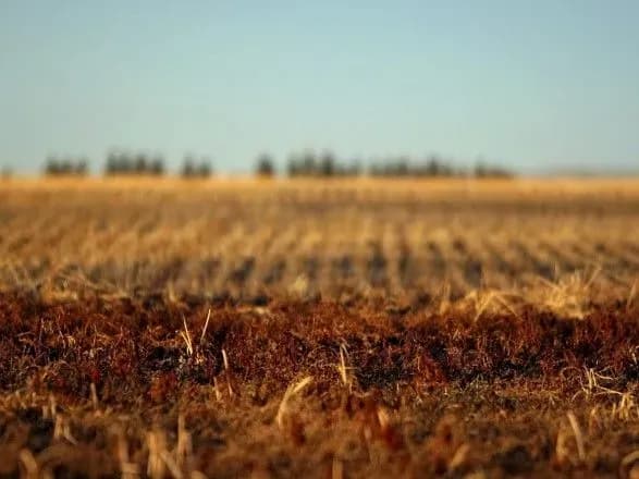 derzhavi-povernut-sche-odnu-nezakonno-privlasnenu-zemelnu-dilyanku