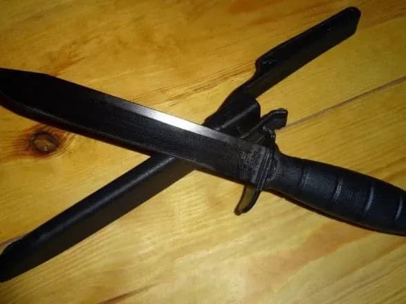 u-moskvi-pidlitki-vlashtuvali-rizaninu-pid-chas-shkilnogo-subotnika