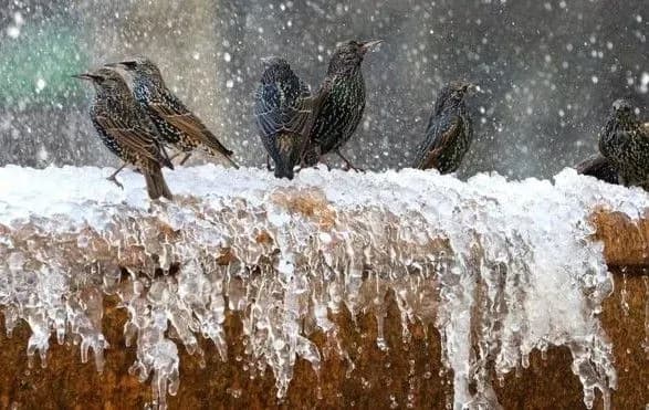 ukrayintsi-prodovzhat-merznuti-y-na-vikhidnikh-sinoptiki