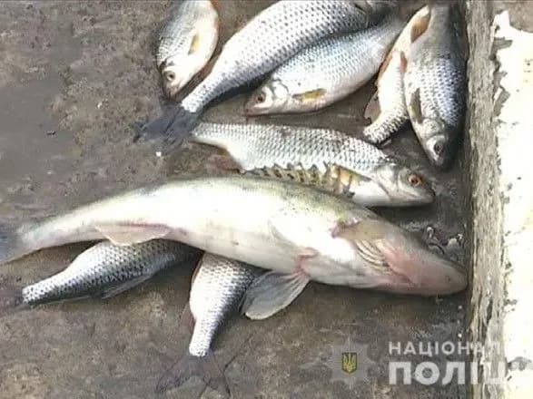 z-pochatku-nerestovoyi-zaboroni-na-donechchini-zafiksovano-15-faktiv-brakonyerstva