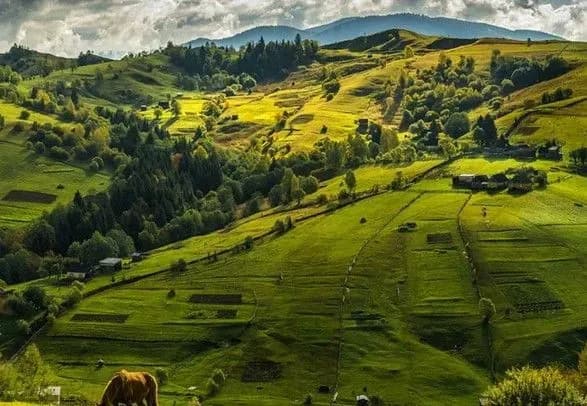 sinoptiki-dali-prognoz-pogodi-na-zavtra-16