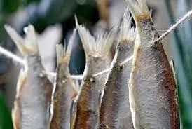 na-zaporizhzhi-ne-vikhodyachi-z-komi-vid-botulizmu-pomer-cholovik