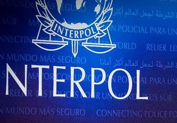 interpol-rozshukuye-11-tu-ditinu-zatrimanoyi-v-gruziyi-gromadyanki-ukrayini