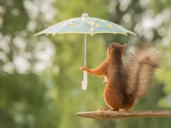 kiyan-poperedzhayut-pro-zlivi-z-grozami-vprodovzh-29-kvitnya