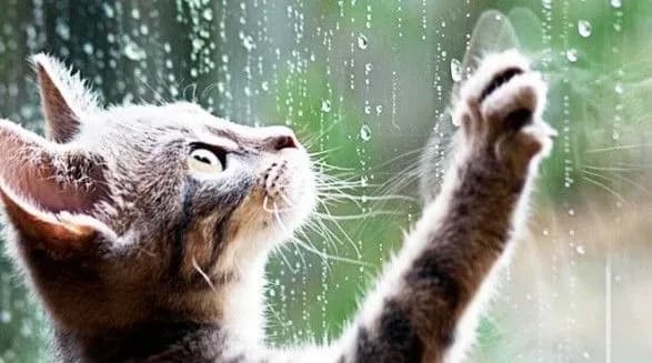 na-kiyivschini-u-pershiy-den-travnya-doschitime