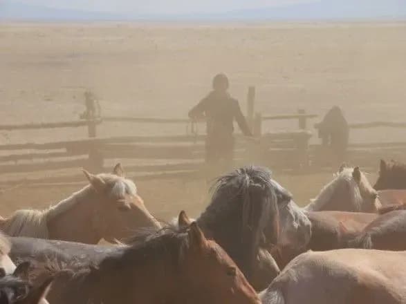 vcheni-viyavili-v-genetichnikh-danikh-dva-zniklikh-vidi-koney