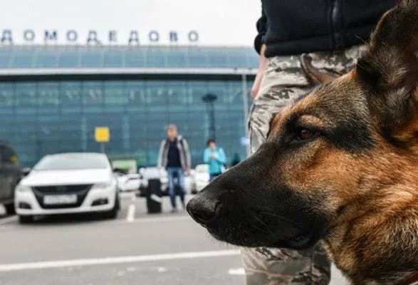 pasazhir-v-rosiyskomu-aeroportu-namagavsya-provezti-v-london-predmet-skhozhiy-na-minu