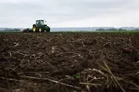 na-ternopilschini-posered-polya-znayshli-tilo-znikloyi-pensionerki