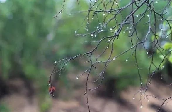 sinoptiki-dali-prognoz-pogodi-na-vikhidni-7