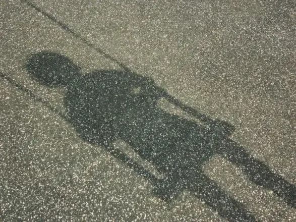 na-zhitomirschini-zi-shkoli-internatu-znik-uchen