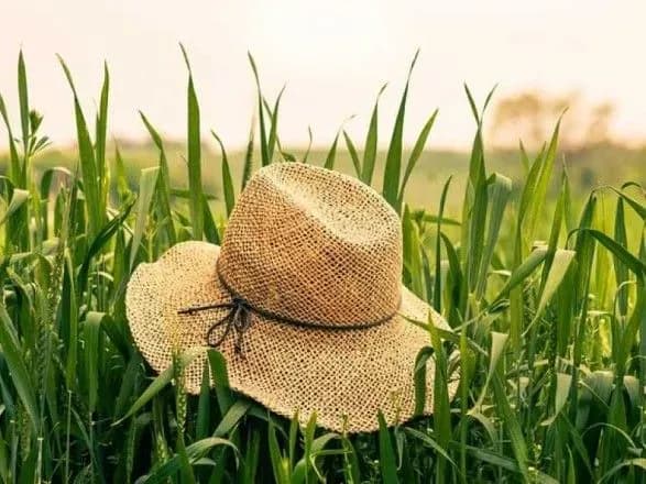 rada-vidkhilila-zakon-schodo-vvedennya-do-konstitutsiyi-ponyattya-fermerske-gospodarstvo