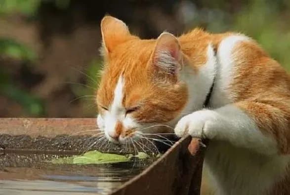 sinoptiki-dali-prognoz-pogodi-na-zavtra-41