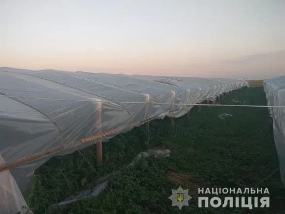 dlya-zbutu-v-krim-banda-pidgotuvala-narkotikiv-na-mayzhe-70-mln-grn