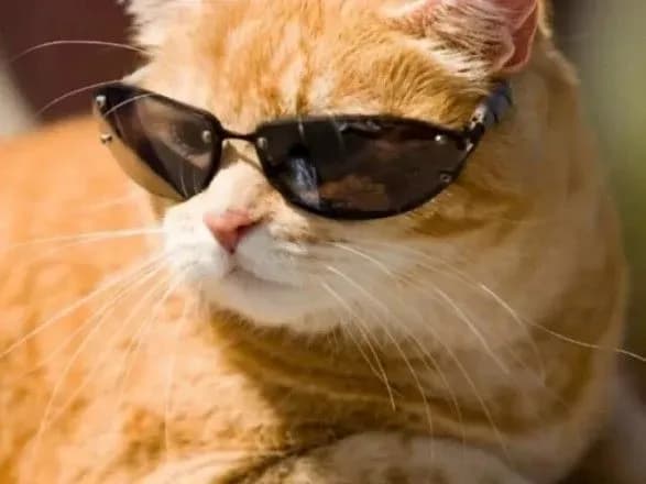 medik-rozpoviv-yak-prokholodzhuvatisya-u-litnyu-speku