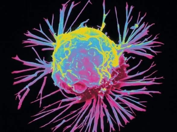 vaktsinu-proti-raku-pochali-viprobovuvati-na-sobakakh