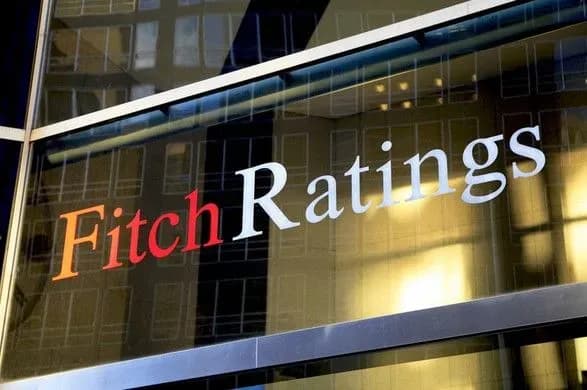 fitch-prognozuye-pidvischennya-reytingu-naybilshogo-virobnika-kuryatini-ukrayini