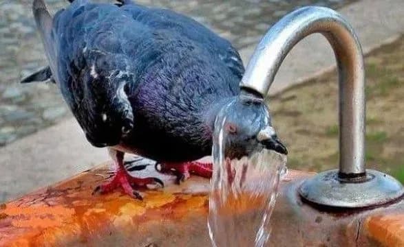 u-kiyevi-na-vikhidnikh-zafiksuvali-tri-temperaturni-rekordi