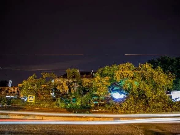 u-dnipri-lyudi-postrazhdali-vid-padinnya-dereva-na-avtobusnu-zupinku