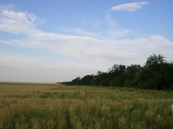 u-lisosmuzi-na-lvivschini-znayshli-trup-cholovika