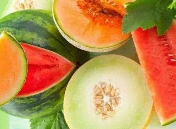 diyetolog-rozpovila-chi-mozhna-vzhe-yisti-kavuni-ta-dini