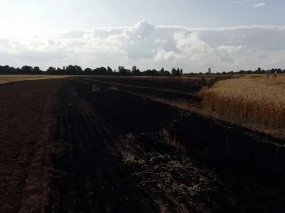 na-khmelnichchini-vognem-znischeno-3-ga-vrozhayu