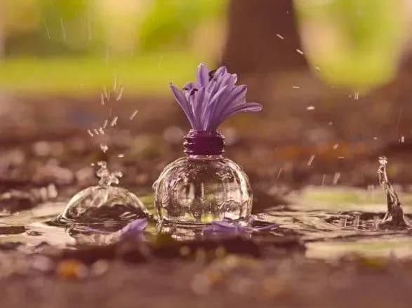 sogodni-temperatura-ne-perevischit-25-gradusiv-tepla