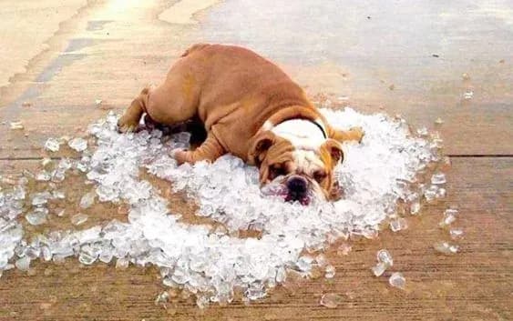 do-frantsiyi-povertayetsya-40-gradusna-speka