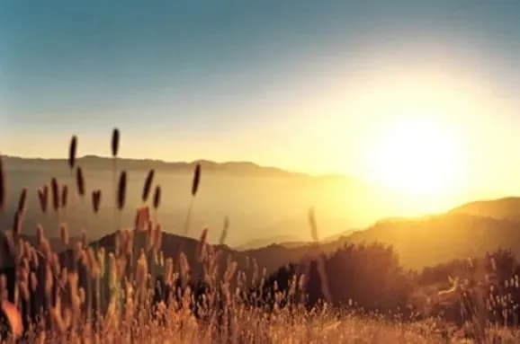 v-ukrayinu-povertayetsya-speka