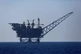 nazvana-kompaniya-yaka-rozroblyatime-shelf-chornogo-morya-na-dilyantsi-delfin