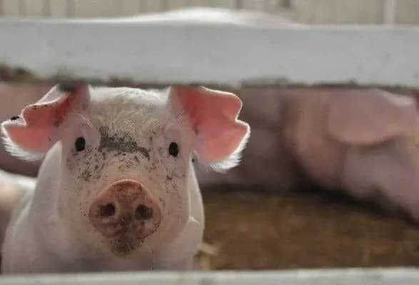 u-moldovi-zafiksuvali-vidrazu-dva-spalakhi-achs