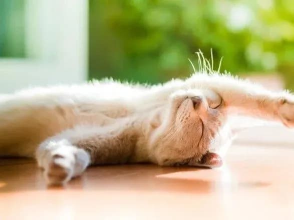 sinoptiki-dali-prognoz-na-pochatok-nastupnogo-tizhnya-1