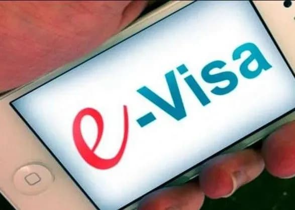 gromadyani-kitayu-naychastishe-oformlyuyut-elektronni-vizi-v-ukrayinu-statistika-mzs