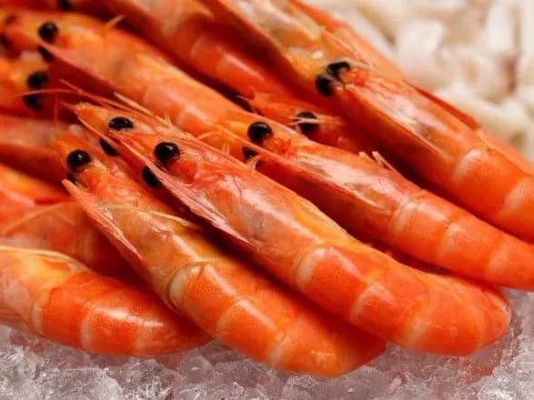 nazvano-poperednyu-prichinu-masovo-otruyennya-u-berdyansku