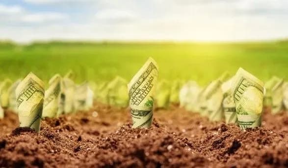 milovanov-rozpoviv-pro-osnovni-skladnoschi-zaprovadzhennya-rinku-zemli