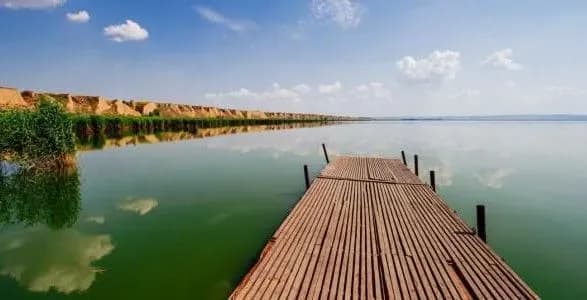 zelenskiy-nadav-trom-zakaznikam-statusu-zagalnoderzhavnikh