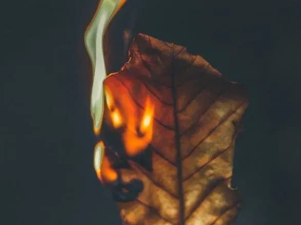 spalyuvannya-listya-i-sukhoyi-travi-medik-rozpoviv-yak-vberegtisya-vid-toksichnogo-dimu