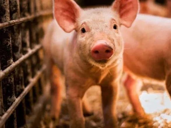 achs-bolgarskim-fermeram-viplatili-2-5-mln-yevro-kompensatsiy