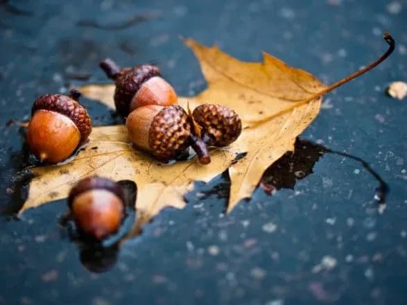 sinoptiki-dali-prognoz-na-pochatok-zhovtnya-gotuyte-parasolki