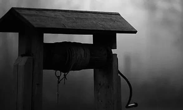 podviyne-vbivstvo-na-bukovini-u-krinitsi-znayshli-tila-materi-ta-8-richnoyi-donki