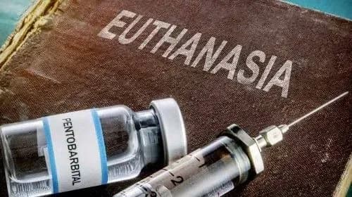nardep-khoche-vnesti-zakonoproekt-pro-dozvil-evtanaziyi