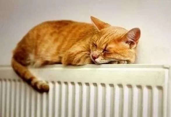 v-uryadi-rozpovili-koli-virishat-pitannya-zapusku-opalyuvalnogo-sezonu-v-smili