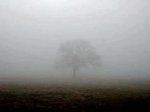 v-ukrayini-na-zavtra-ogolosili-shtormove-poperedzhennya-chogo-chekati