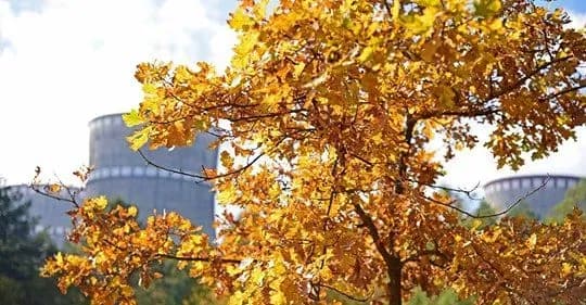 energosistema-ukrayini-prodovzhuye-robotu-bez-pyati-atomnikh-blokiv-8