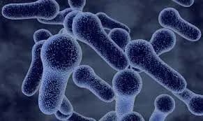 na-zakarpatti-uzhe-chetvero-khvorikh-na-difteriyu