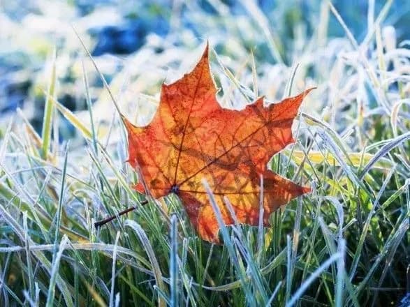 tsogo-tizhnya-denna-temperatura-nablizitsya-do-nulya-sinoptiki