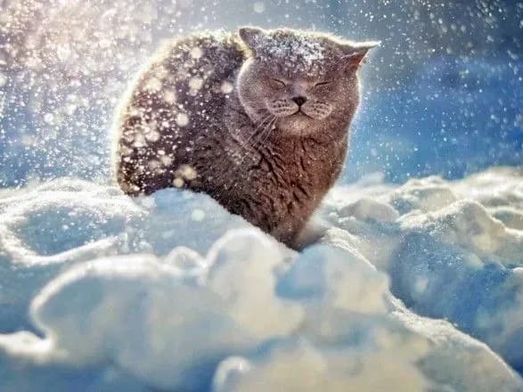 meteorolog-rozpovila-yakoyu-bude-zima-v-ukrayini-1