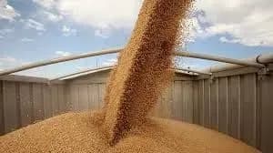 ukrayina-za-devyat-misyatsiv-importuvala-agroproduktiv-na-4-3-mlrd-dolariv